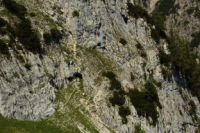 2014-08-02_06FritzPflaum-Steig (154).JPG